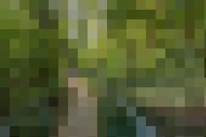 Laan van Dick Laan 11 Heemstede thumbnail 38