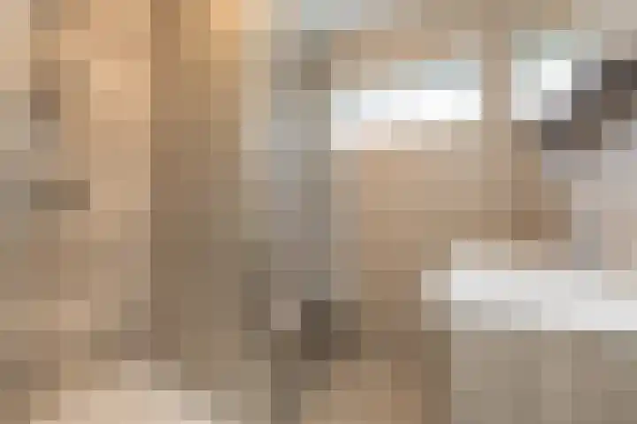Laan van Dick Laan 11 Heemstede thumbnail 4