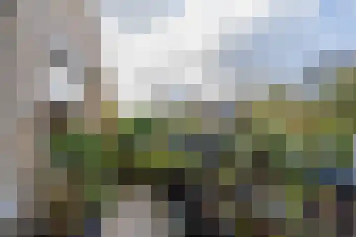 Laan van Dick Laan 16 Heemstede thumbnail 12