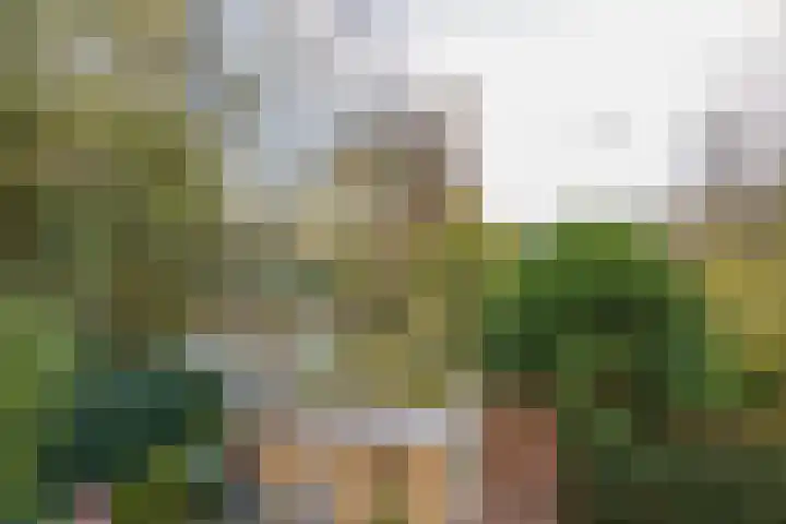 Laan van Dick Laan 16 Heemstede thumbnail 13