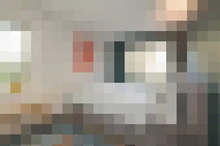 Laan van Dick Laan 16 Heemstede thumbnail 17