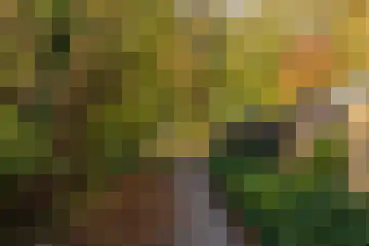 Laan van Dick Laan 16 Heemstede thumbnail 31