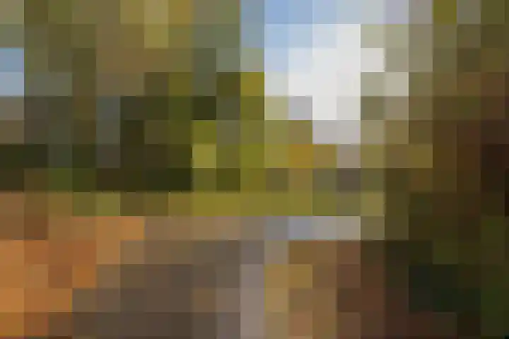 Laan van Dick Laan 16 Heemstede thumbnail 32