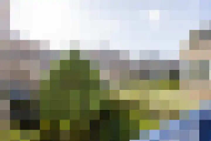 Laan van Dick Laan 37 Heemstede thumbnail 10