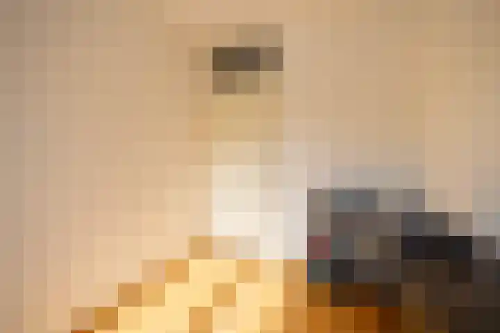 Laan van Dick Laan 37 Heemstede thumbnail 14