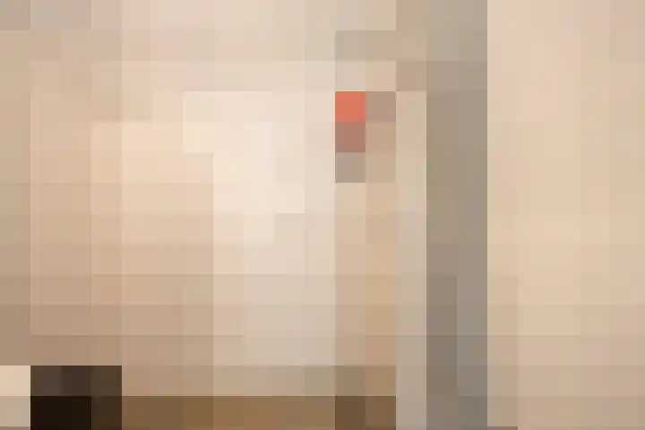 Laan van Dick Laan 37 Heemstede thumbnail 18