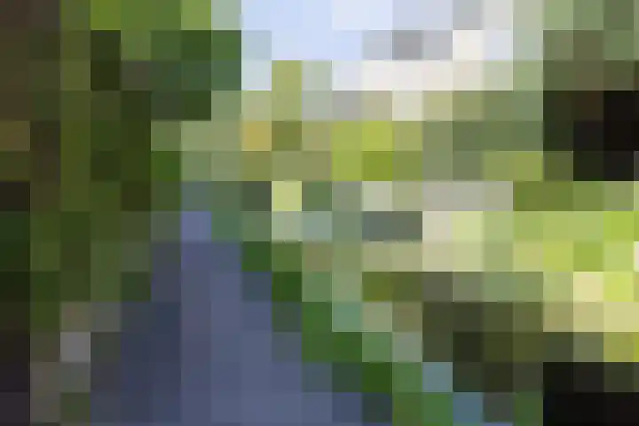 Laan van Dick Laan 37 Heemstede thumbnail 20