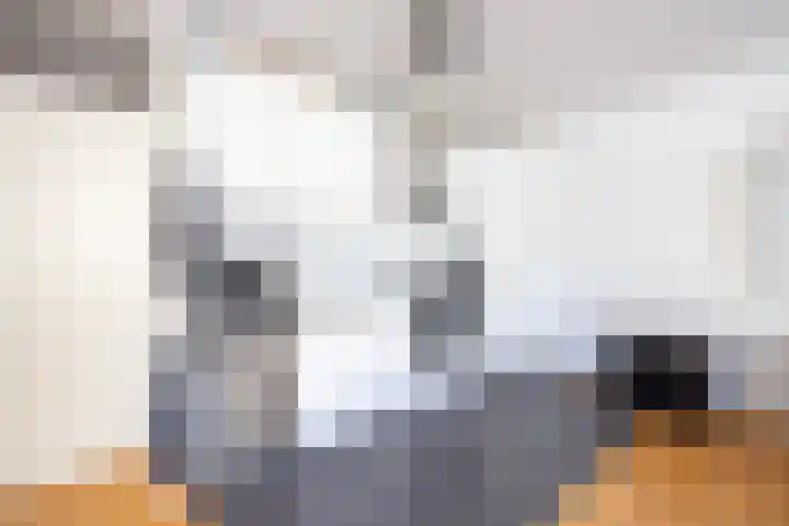Laan van Dick Laan 37 Heemstede thumbnail 7
