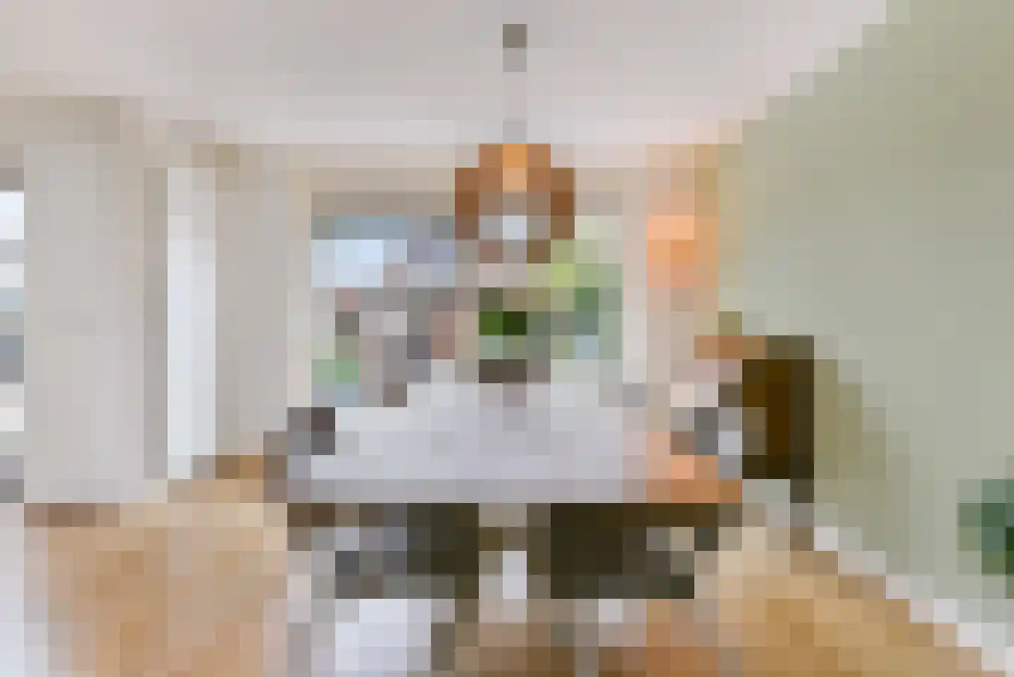 Laan van Duurzaamheid 133 Amersfoort thumbnail 14