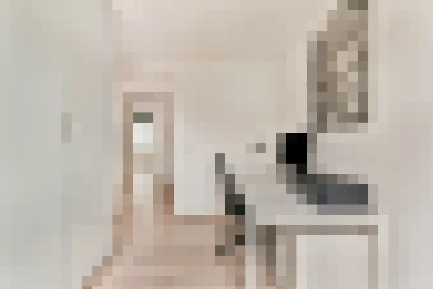 Laan van Duurzaamheid 133 Amersfoort thumbnail 23