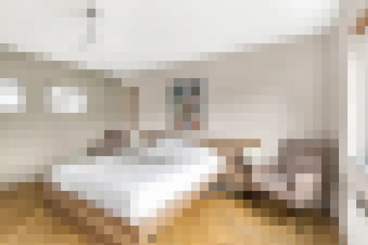 Laan van Duurzaamheid 63 Amersfoort thumbnail 14