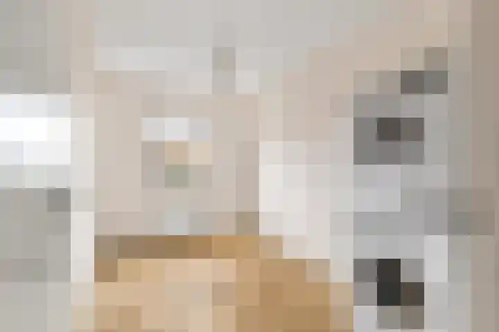Laan van Duurzaamheid 63 Amersfoort thumbnail 16