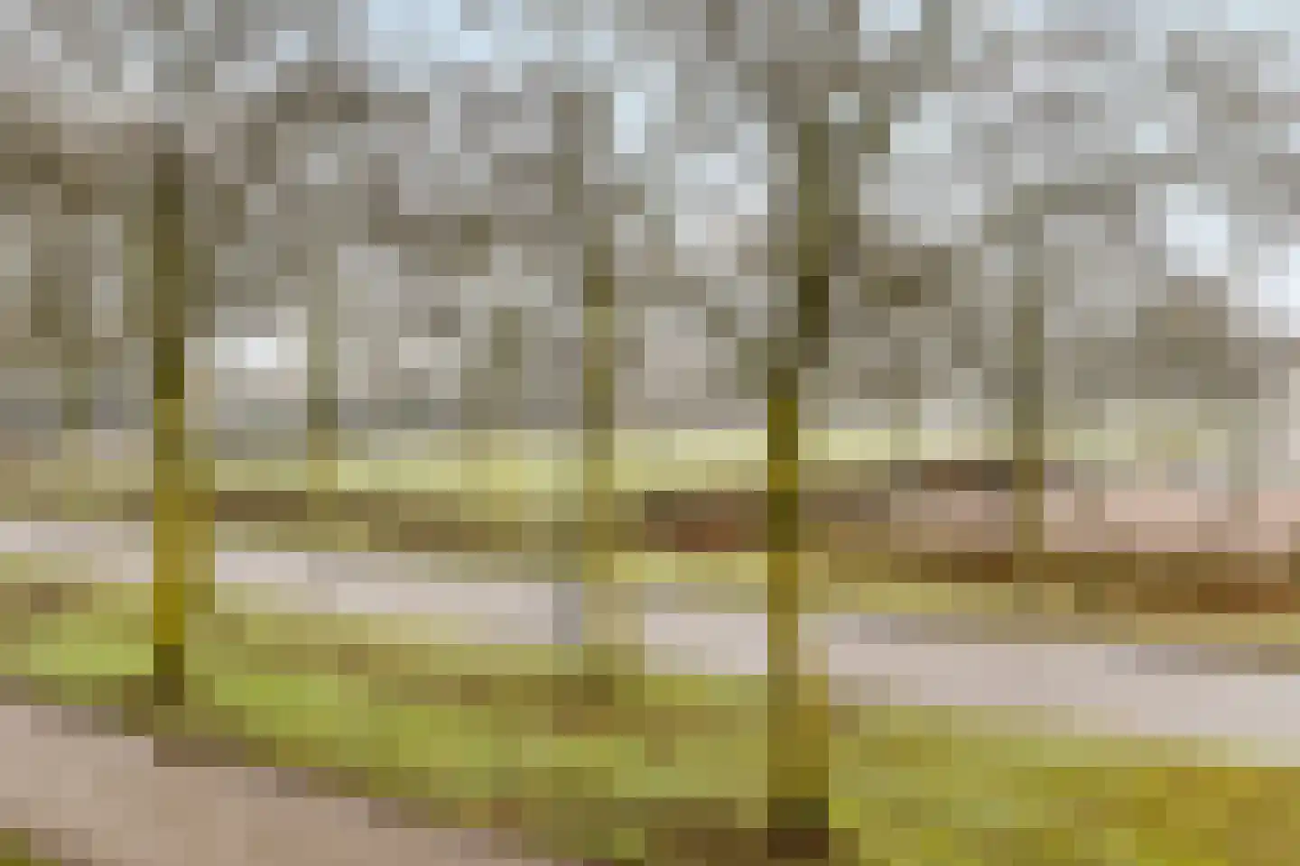 Laan van Duurzaamheid 63 Amersfoort thumbnail 27