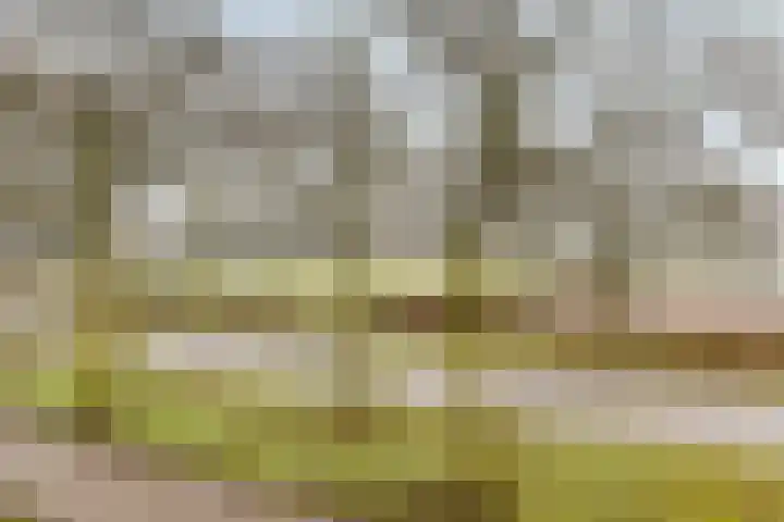 Laan van Duurzaamheid 63 Amersfoort thumbnail 27