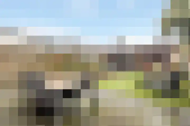 Laan van Duurzaamheid 63 Amersfoort thumbnail 30