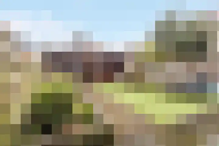 Laan van Duurzaamheid 63 Amersfoort thumbnail 4