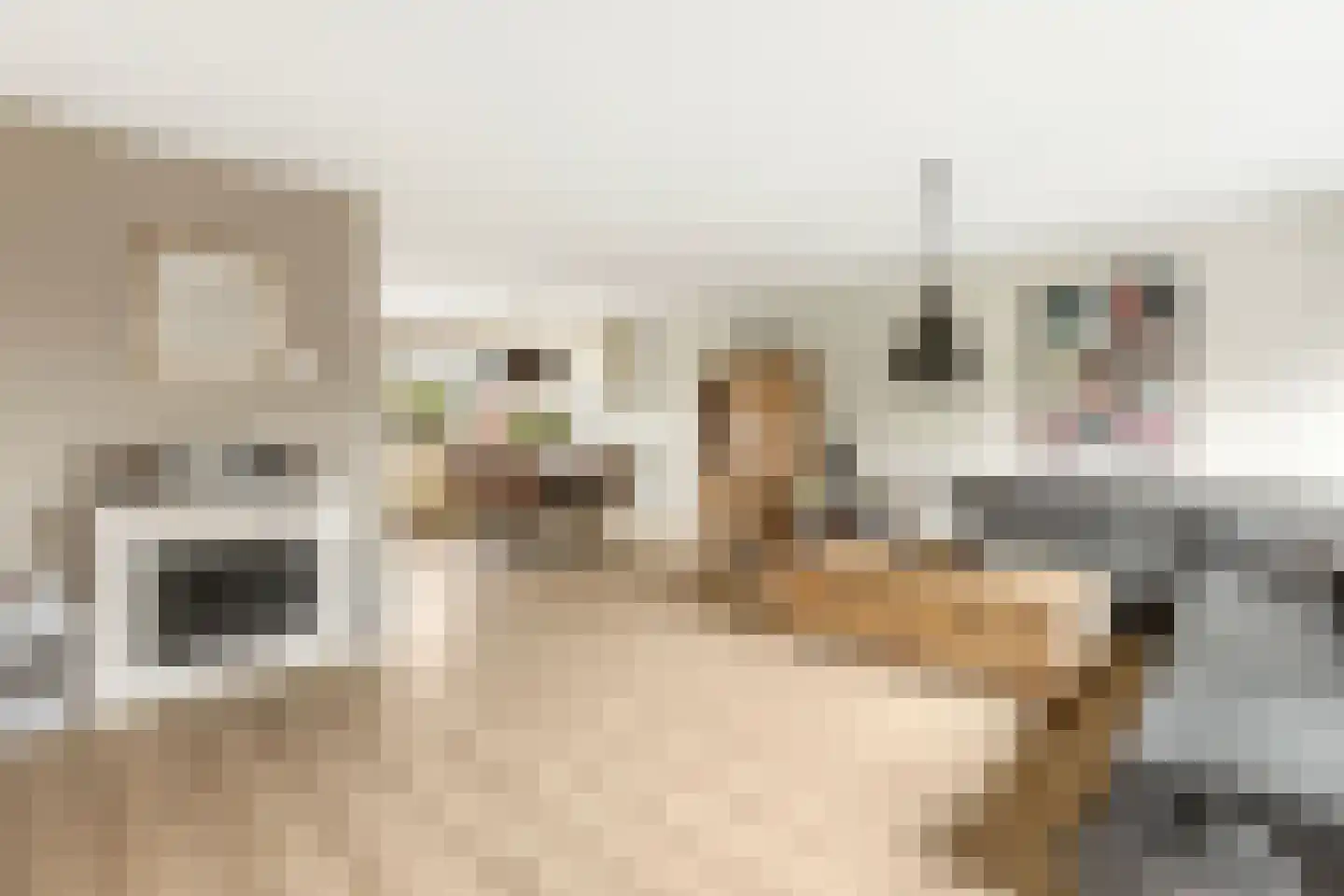 Laan van Duurzaamheid 63 Amersfoort thumbnail 9