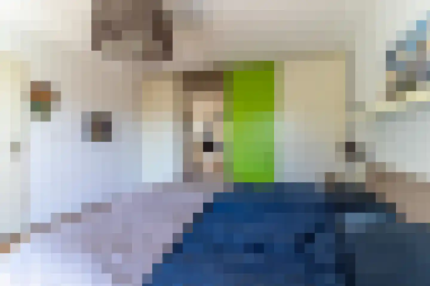 Laan van Duurzaamheid 83 Amersfoort thumbnail 19