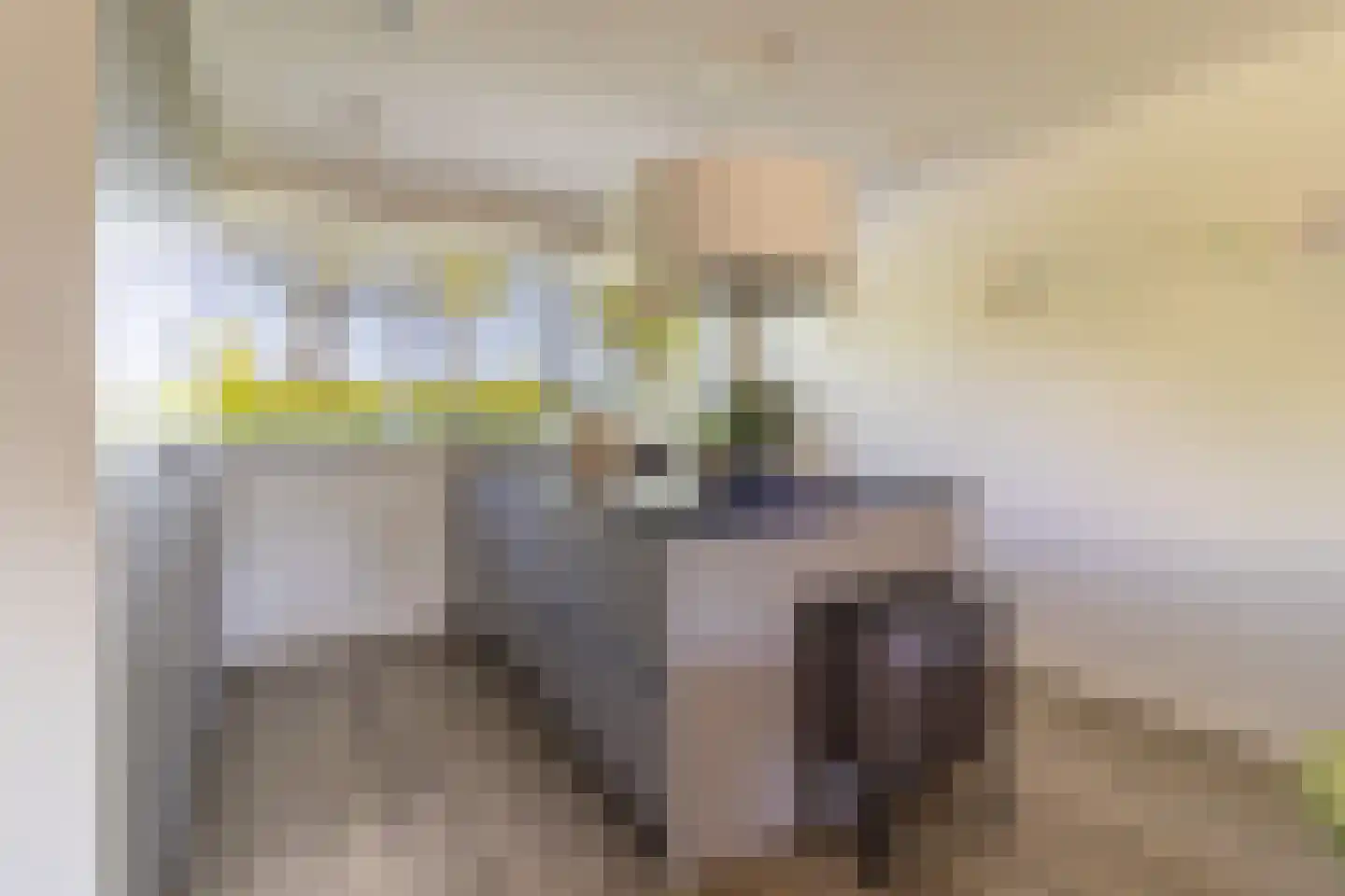 Laan van Duurzaamheid 83 Amersfoort thumbnail 8