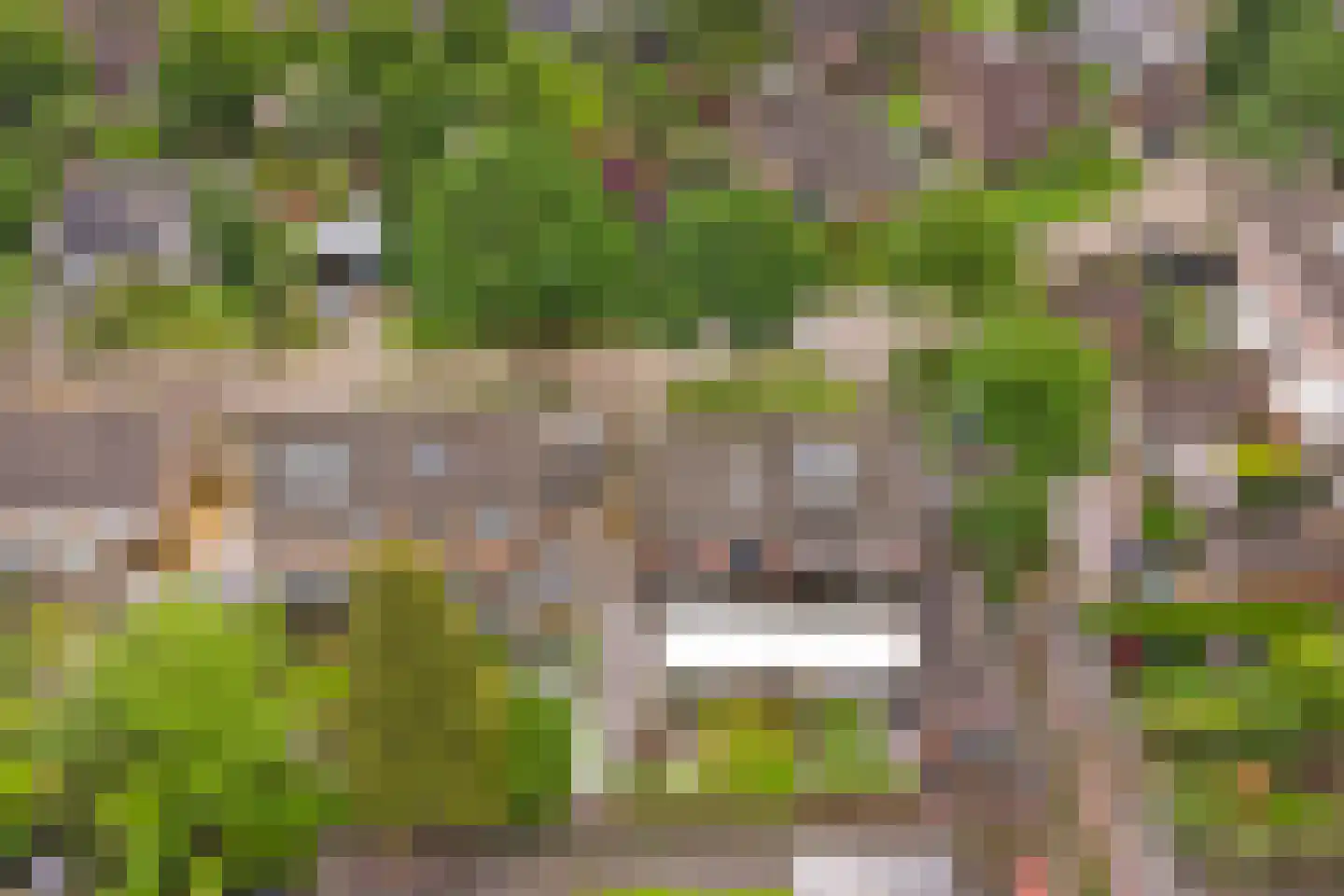 Laan van Echternach 19 Alphen thumbnail 47