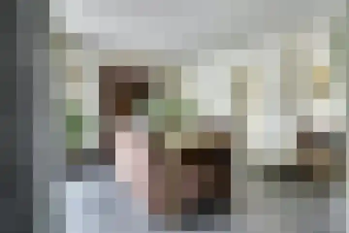 Laan van Echternach 31 Alphen thumbnail 10