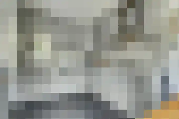 Laan van Echternach 31 Alphen thumbnail 11