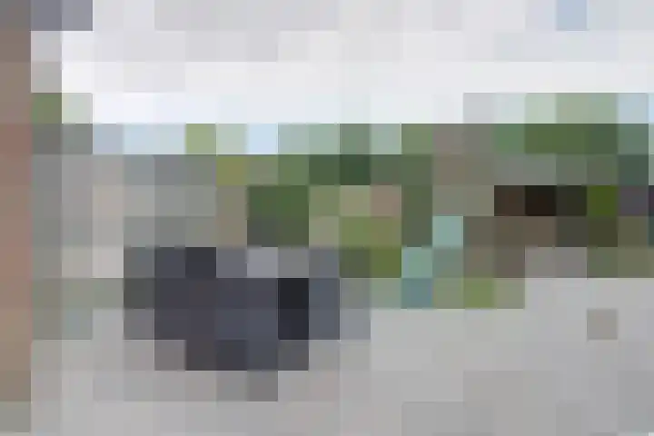 Laan van Echternach 31 Alphen thumbnail 29