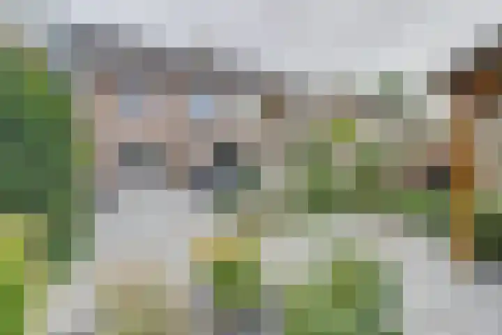 Laan van Echternach 31 Alphen thumbnail 30