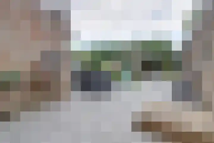 Laan van Echternach 31 Alphen thumbnail 31