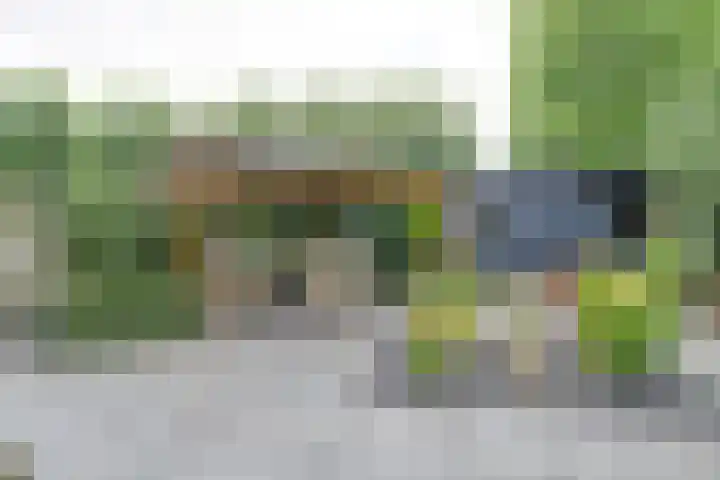 Laan van Echternach 31 Alphen thumbnail 32