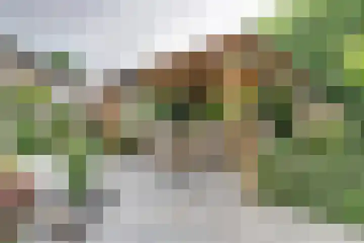 Laan van Echternach 31 Alphen thumbnail 33