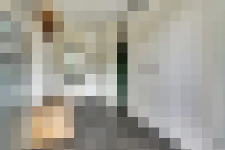 Laan van Echternach 31 Alphen thumbnail 4