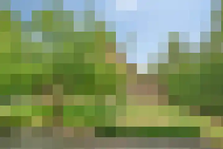 Laan van Echternach 34 Alphen thumbnail 30
