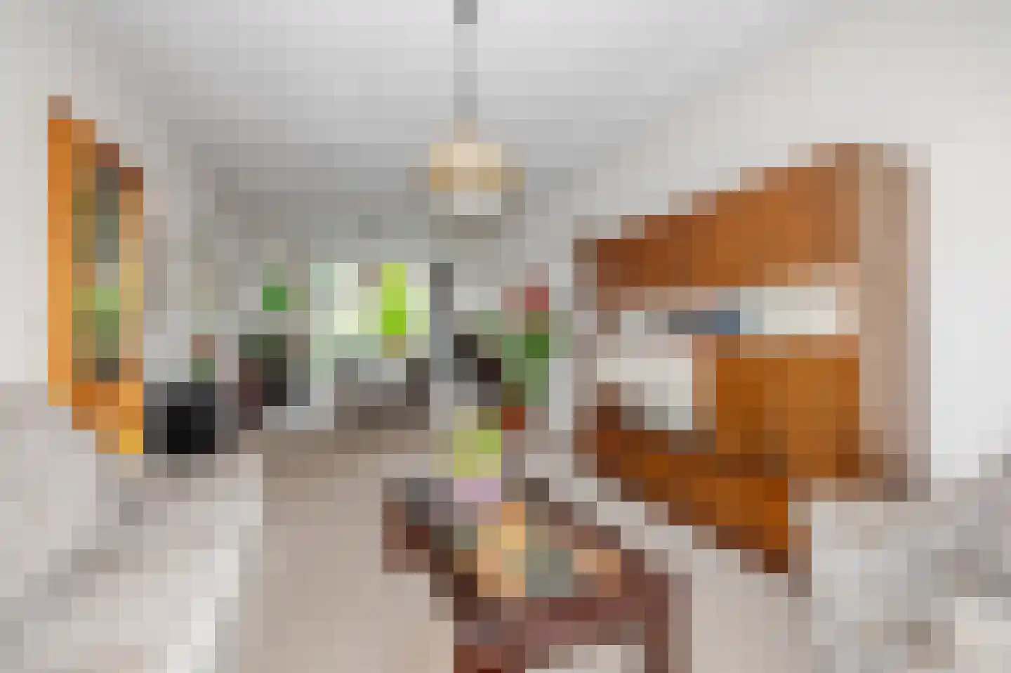 Laan van Eik en Duinen 111 Den Haag thumbnail 11