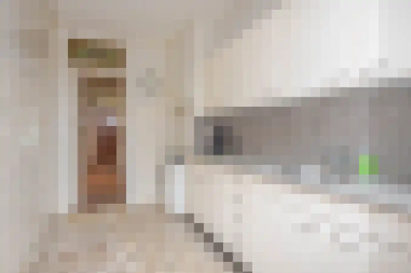 Laan van Eik en Duinen 111 Den Haag thumbnail 15