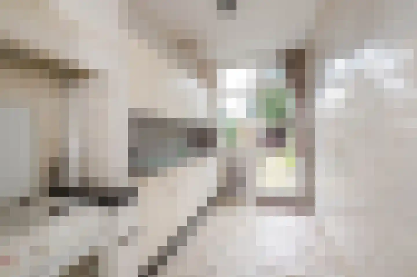 Laan van Eik en Duinen 111 Den Haag thumbnail 16