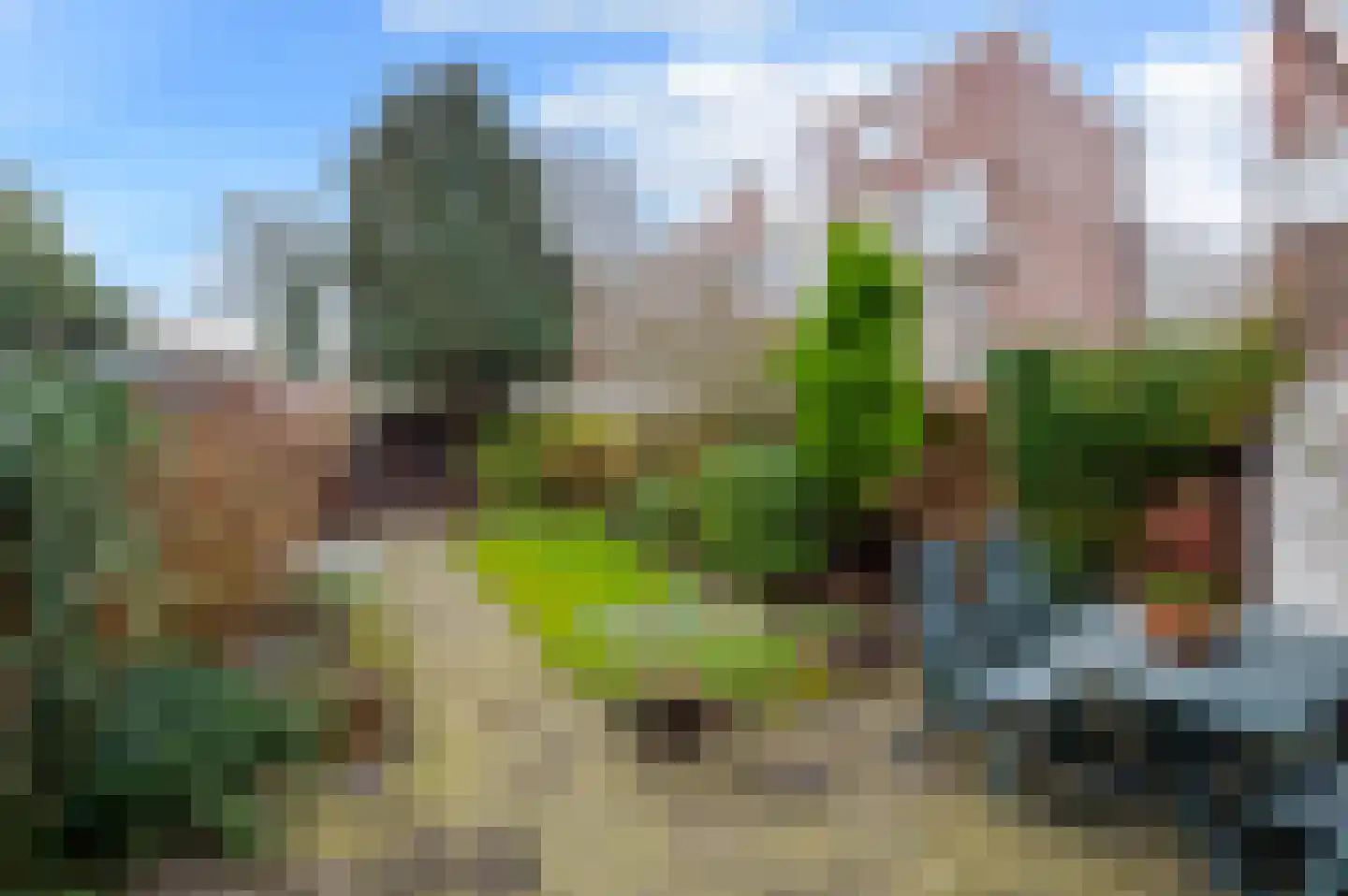 Laan van Eik en Duinen 111 Den Haag thumbnail 17