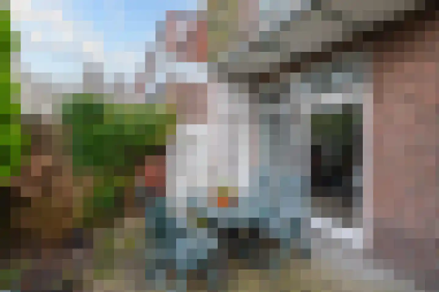 Laan van Eik en Duinen 111 Den Haag thumbnail 20