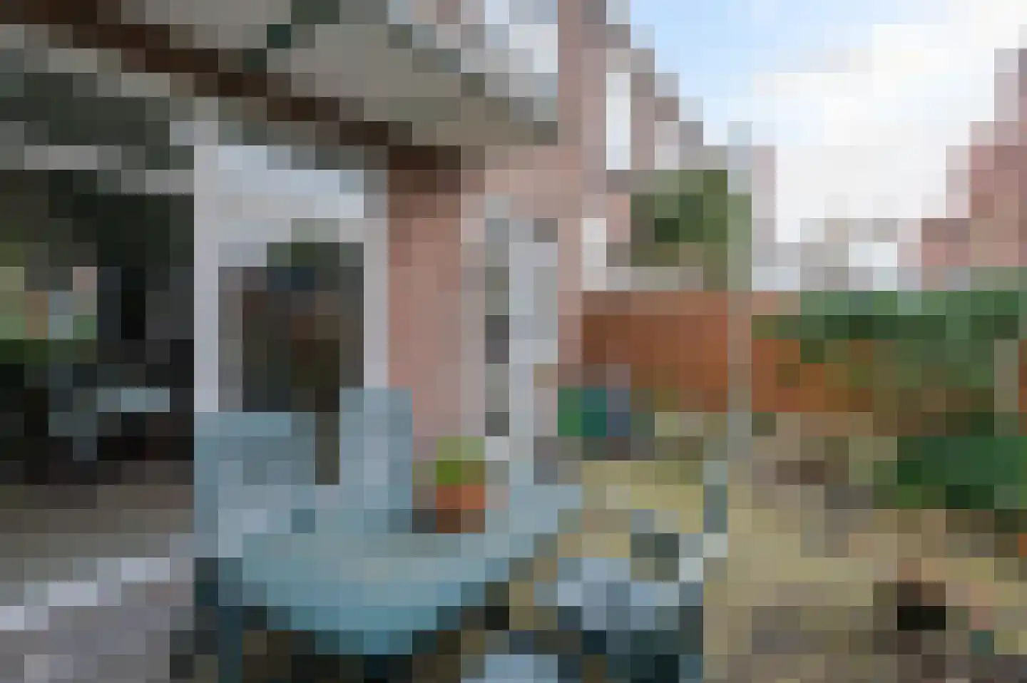 Laan van Eik en Duinen 111 Den Haag thumbnail 21