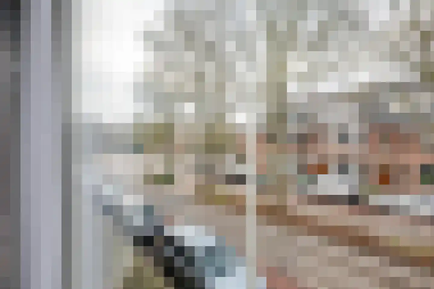 Laan van Eik en Duinen 111 Den Haag thumbnail 26