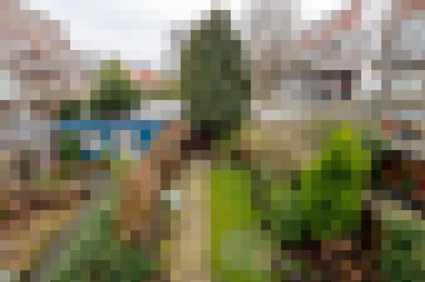 Laan van Eik en Duinen 111 Den Haag foto 3