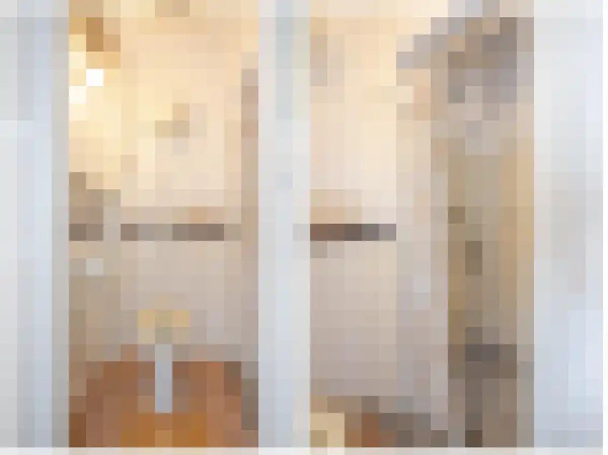 Laan van Eik en Duinen 111 Den Haag thumbnail 33