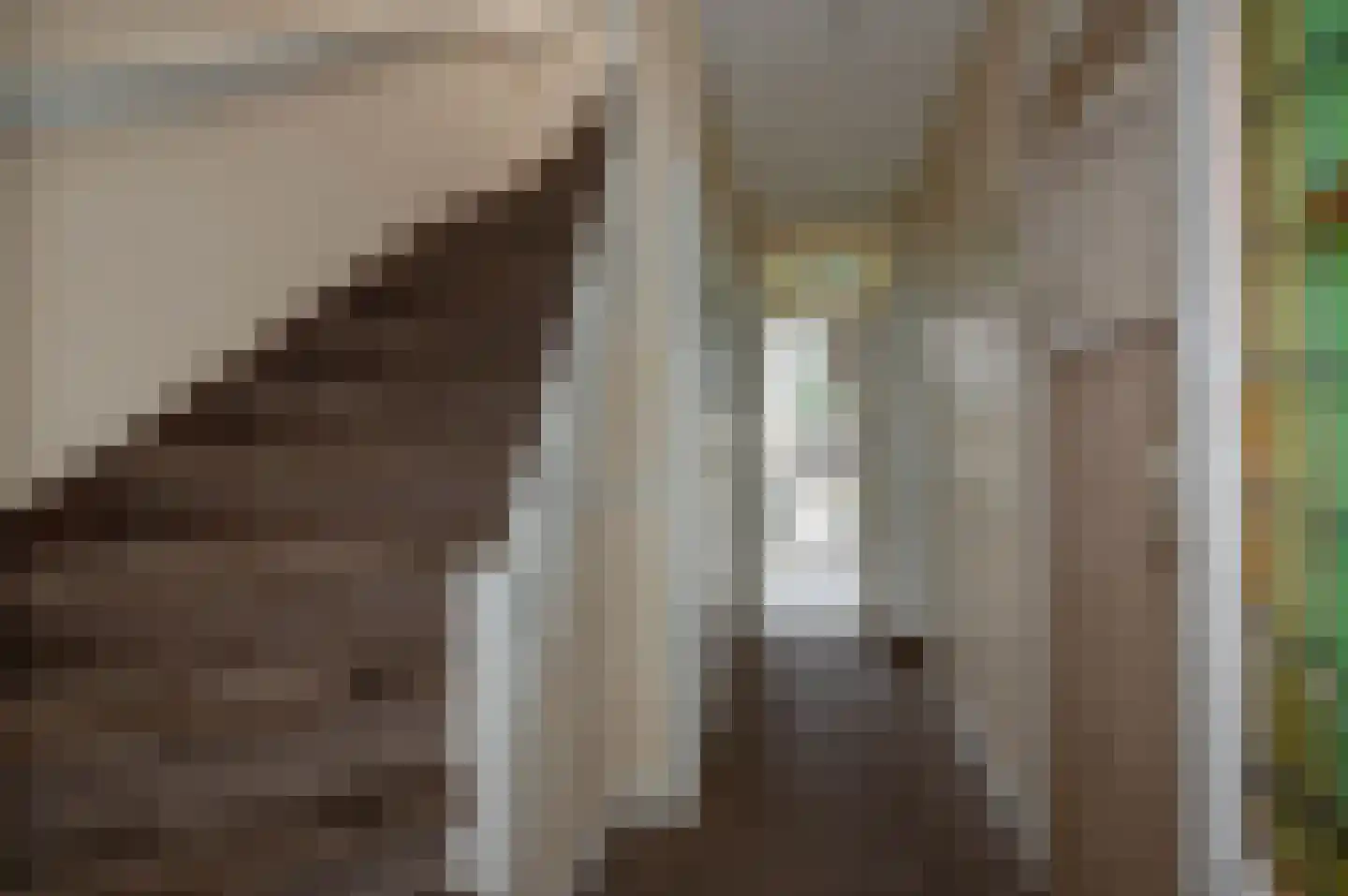 Laan van Eik en Duinen 111 Den Haag thumbnail 6