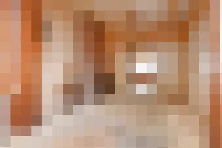 Laan van Eik en Duinen 143 Den Haag thumbnail 14