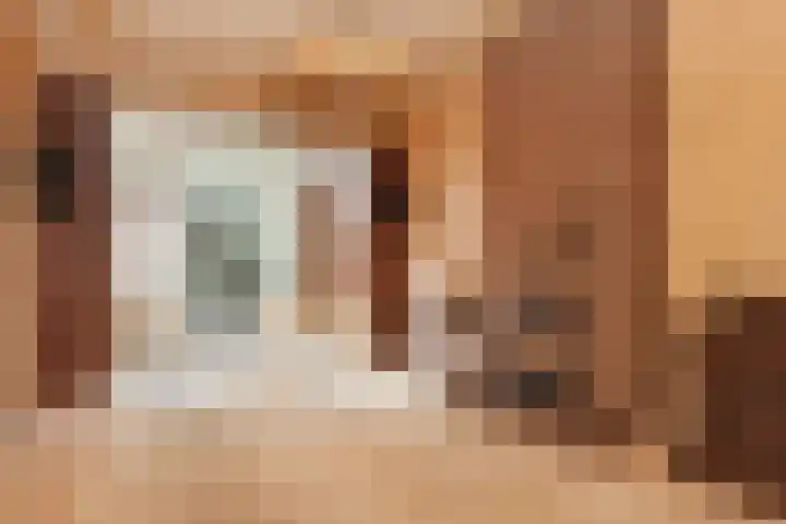 Laan van Eik en Duinen 143 Den Haag thumbnail 19