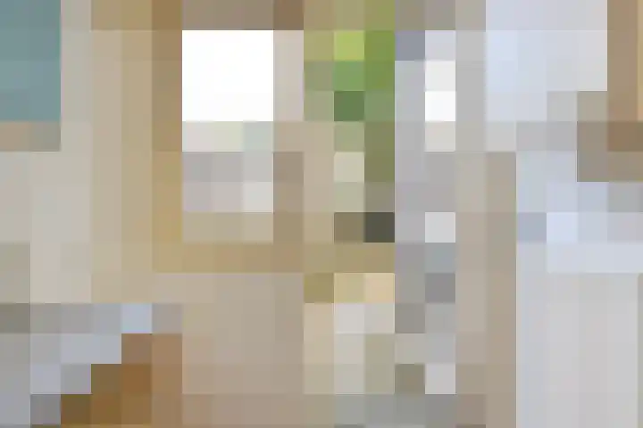 Laan van Eik en Duinen 143 Den Haag thumbnail 22