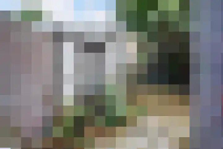 Laan van Eik en Duinen 143 Den Haag thumbnail 24