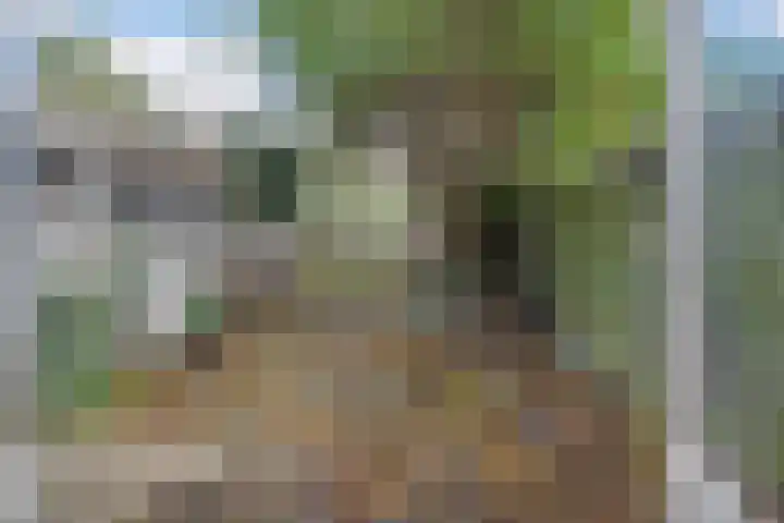 Laan van Eik en Duinen 143 Den Haag thumbnail 25
