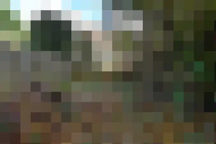 Laan van Eik en Duinen 143 Den Haag thumbnail 26