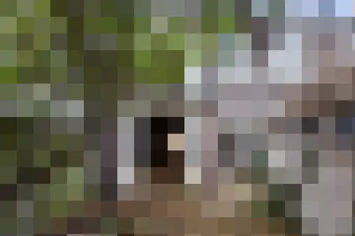 Laan van Eik en Duinen 143 Den Haag thumbnail 27